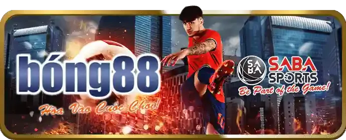 Màn hình hiển thị cá cược trực tiếp với tỷ lệ cược thay đổi